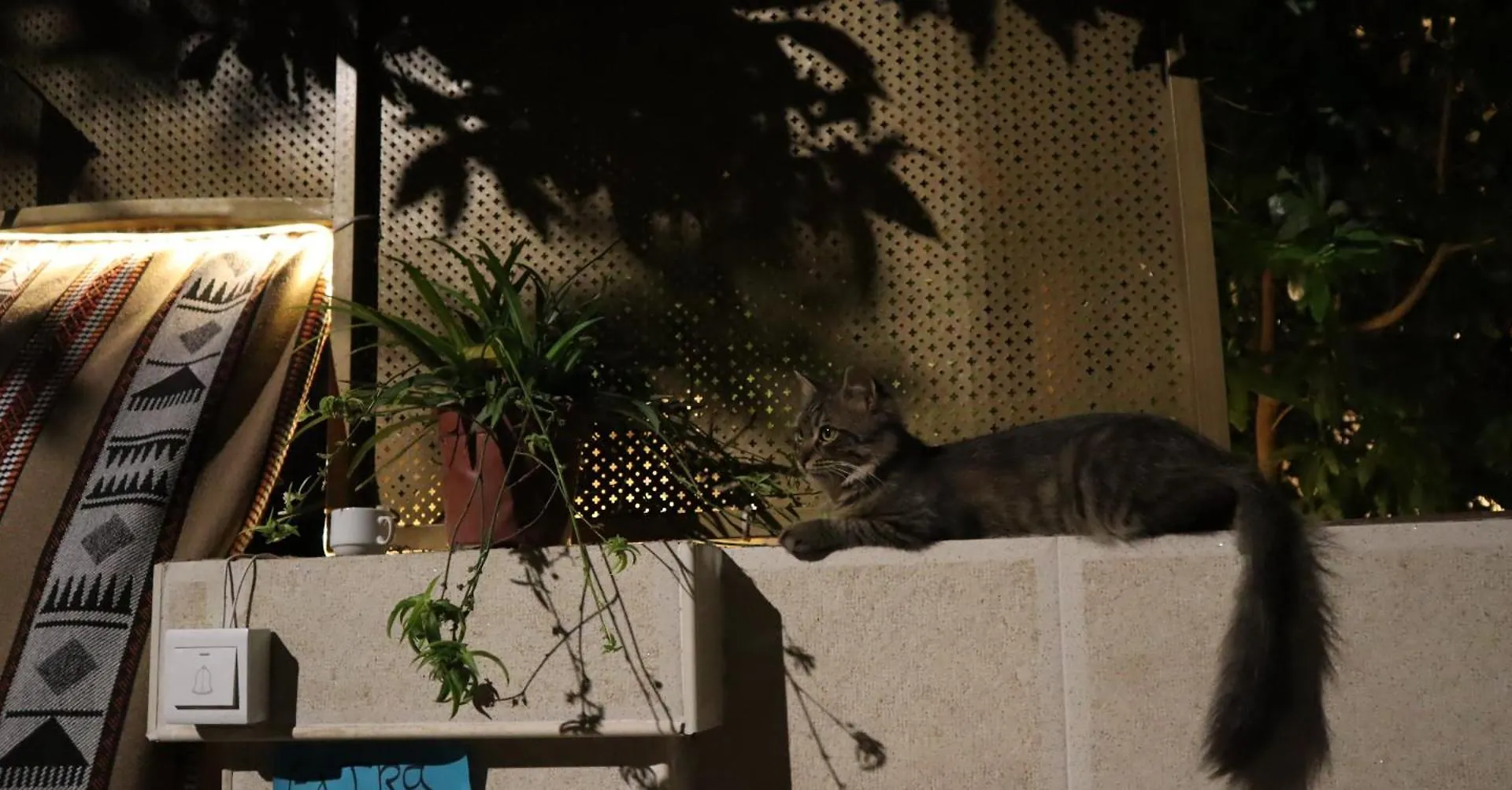 Extra Traveller Hostel Aqaba